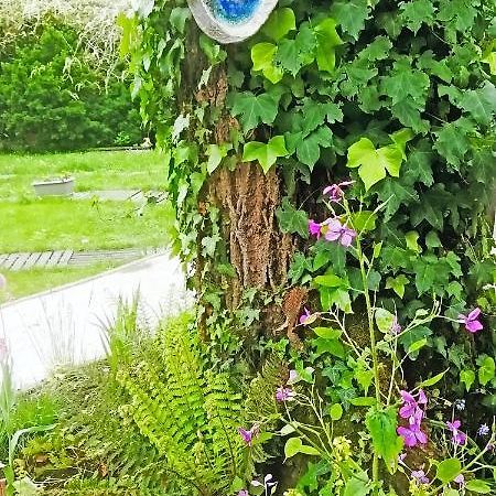 Mirguet Au Jardin Leilighet Saint-Elix-le-Chateau Eksteriør bilde