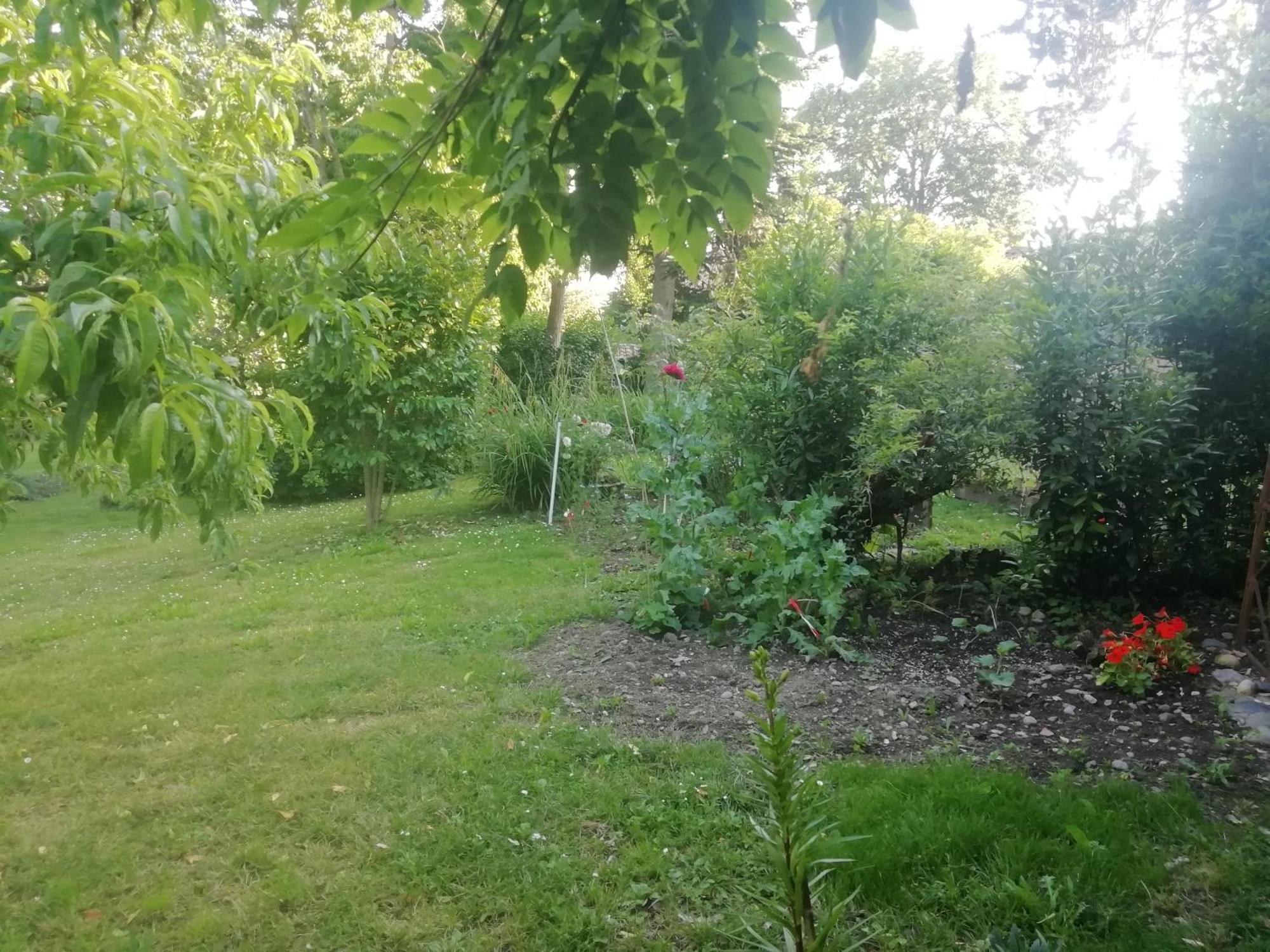Mirguet Au Jardin Leilighet Saint-Elix-le-Chateau Eksteriør bilde